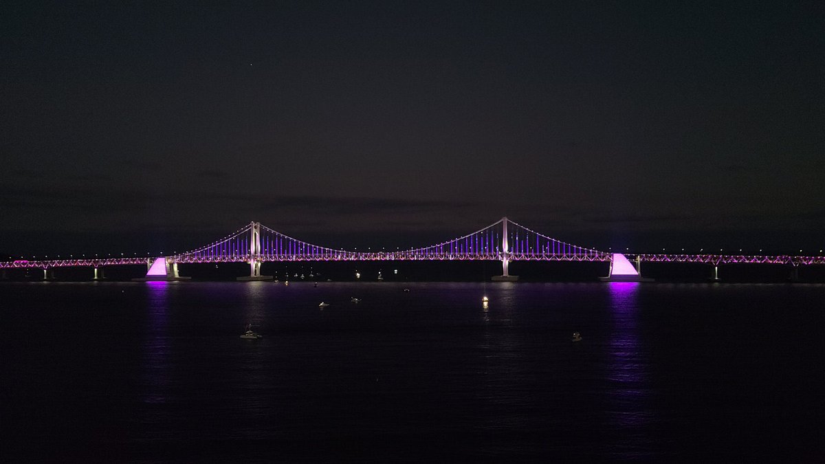 The city of Busan went purple in honor of BTS’ historic concert today.