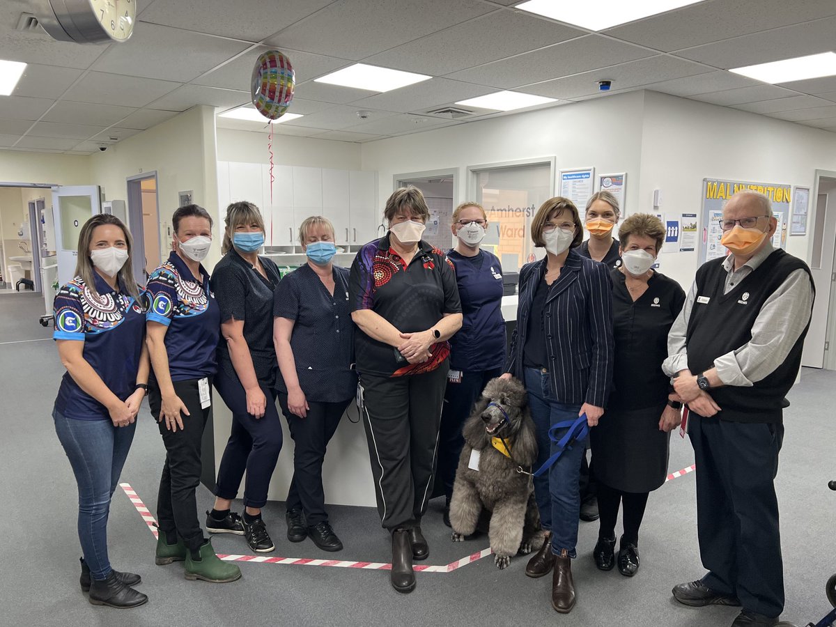 Checking in with the team at Maryborough District Health Service following flooding of surrounding communities, Astro the therapy dog was on hand to spread joy to staff & patients, during this worrying time. And to all healthcare workers in flood affected communities thank you 🙏