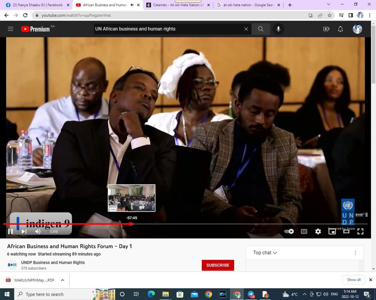 Plenipotentiary9999 tweet media