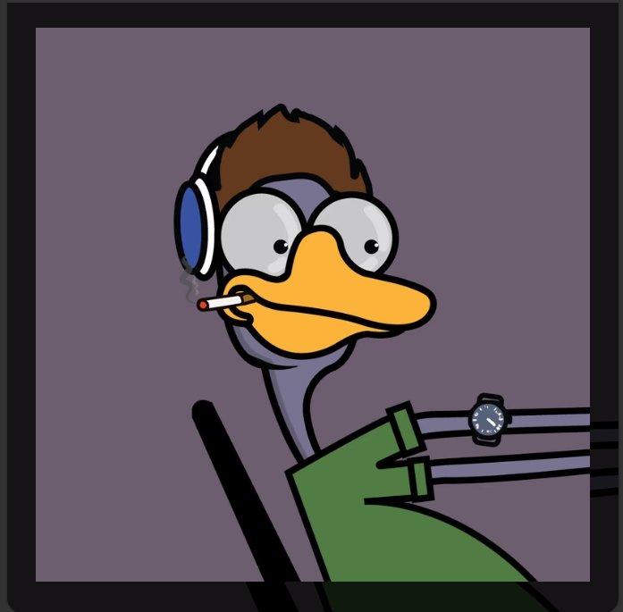 greenhornet 🏴‍☠️ tweet media