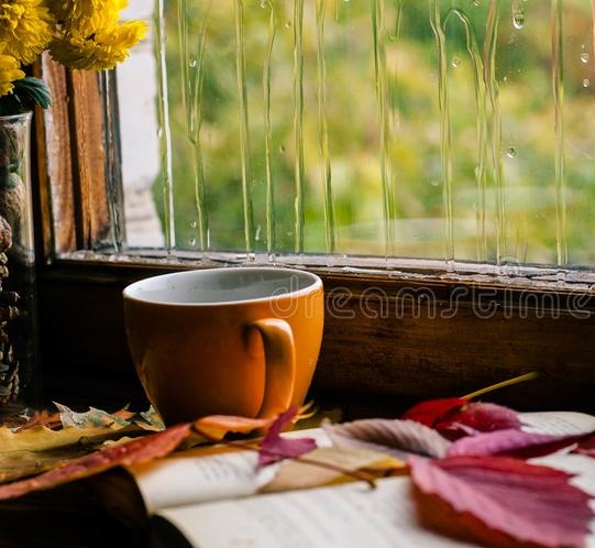 Dynamic 🦁🐞☘️ tweet media