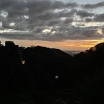 ツイートに含まれる画像