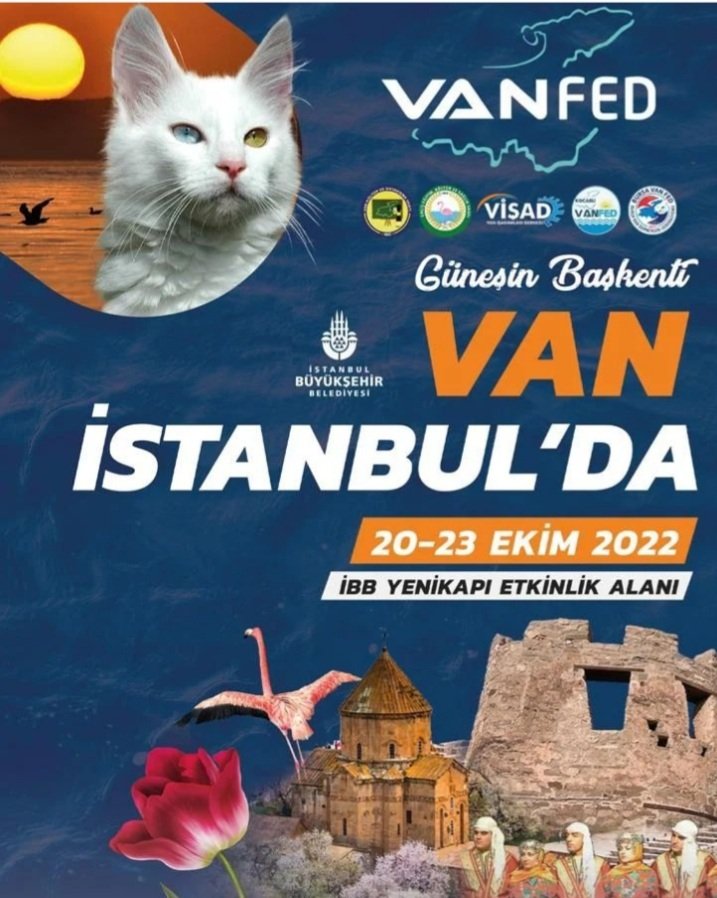 adilfeyyat's tweet photo. Van - İstanbul buluşması
#van #vanfed #yenikapıetkinlikalanı #İstanbul #yenikapı #etkinlik #ibb #istanbulbüyükşehirbelediyesi https://t.co/bm1sYZKiuf