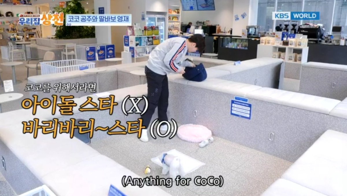 lingerinmeadow's tweet photo. It's really nice how although Youngjae is a guest on Boss Pet but the producer/editor can still easily feel his love for Coco from this schedule and gave them all the sweet captions 🥹❤️

https://t.co/cO2zUDdiqv

#youngjae #영재 #코코 @GOTYJ_Ars_Vita https://t.co/3fV21k1DaO