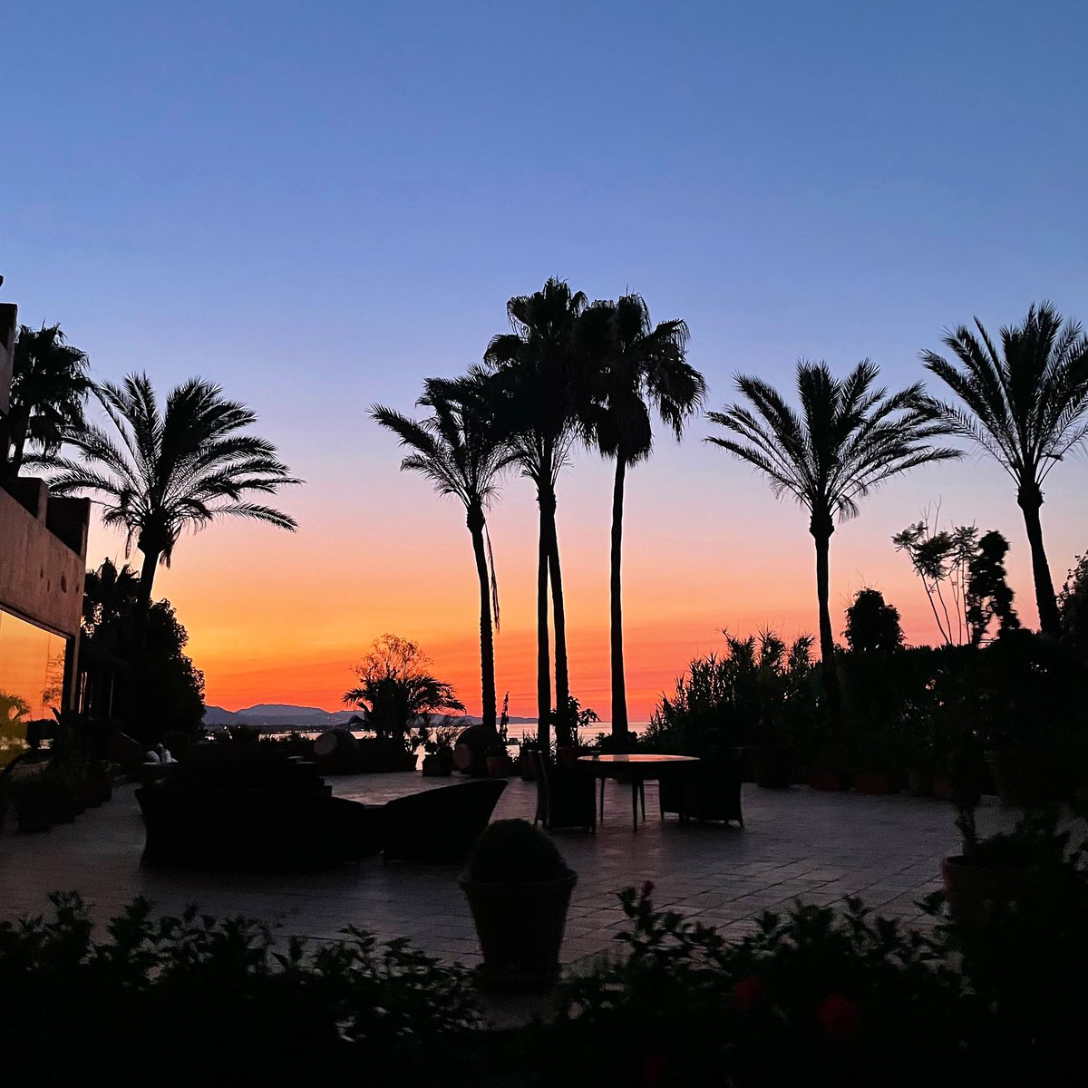 Försöka är alltid början till att lyckas.
Så oavsett vad du vill, önskar eller hoppas på så är ett försök alltid en bra start. God morgon 💛
#startamedettleende