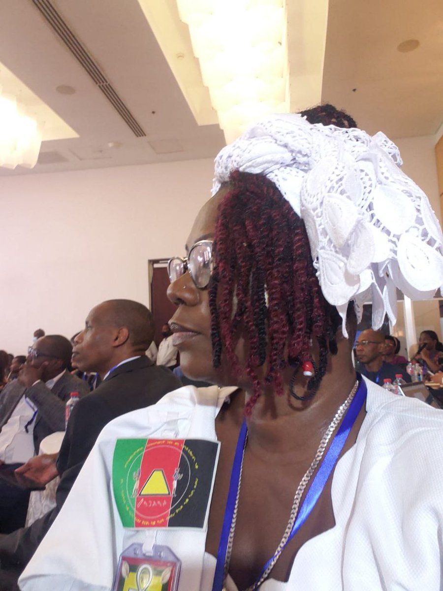 Plenipotentiary9999 tweet media