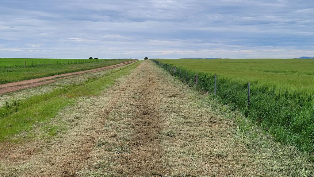 Corbin Schuster tweet media