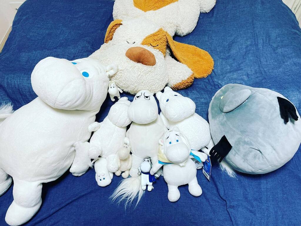 AhchanMoochan's tweet photo. 今日は暖かいですね！

みんなで
お昼寝タイム😴

#ムーミン 
#ムーミンのある暮らし 
#ムーミンなくらし #モラン 
#むーちゃん #あーちゃん #もーちゃん #つーちゃん #いーちゃん 
#moomin 
#molan 
#thegreek #moominlife #moominlove #moominlifestyle 
#angrymoomin 
#moochan #ahchan 
#mochan https://t.co/SxlH4jRc3N