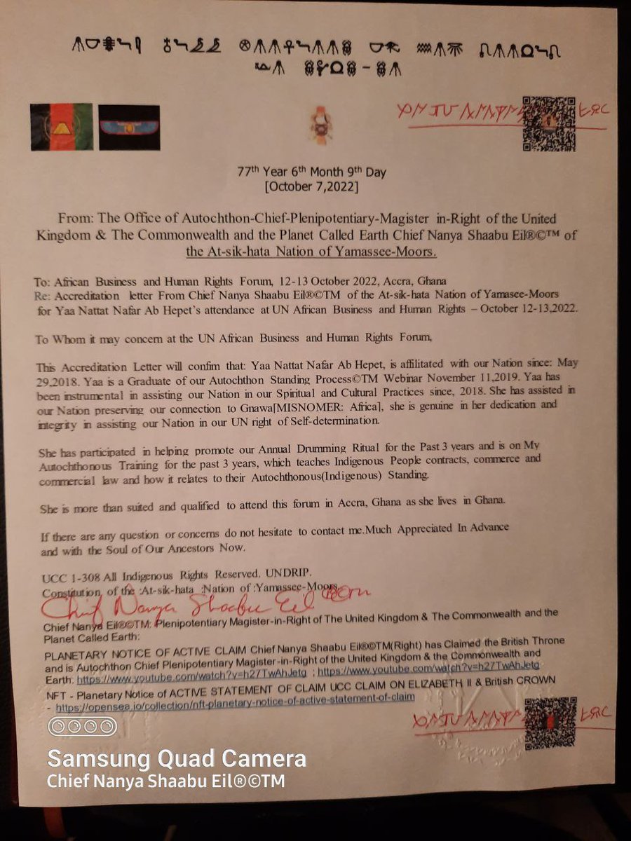 Plenipotentiary9999 tweet media