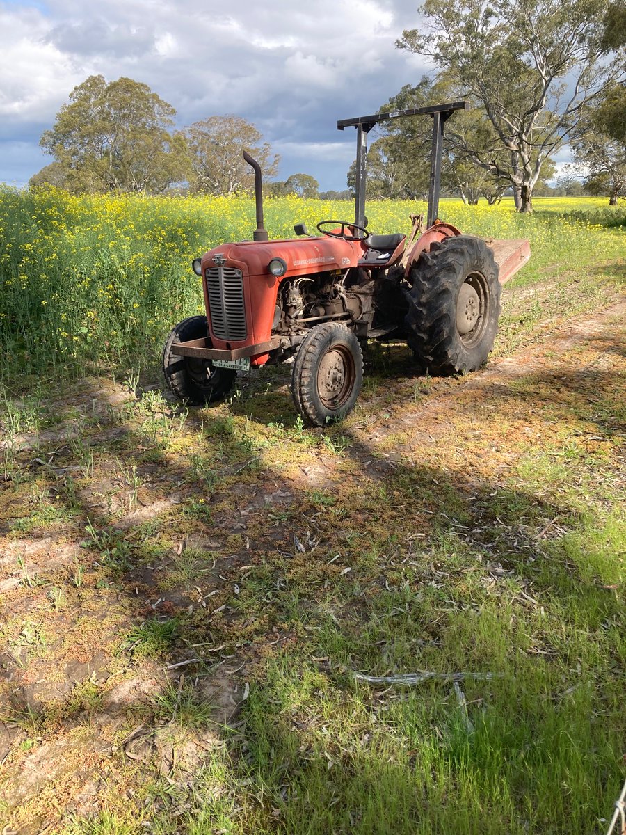 Sam Shields tweet media