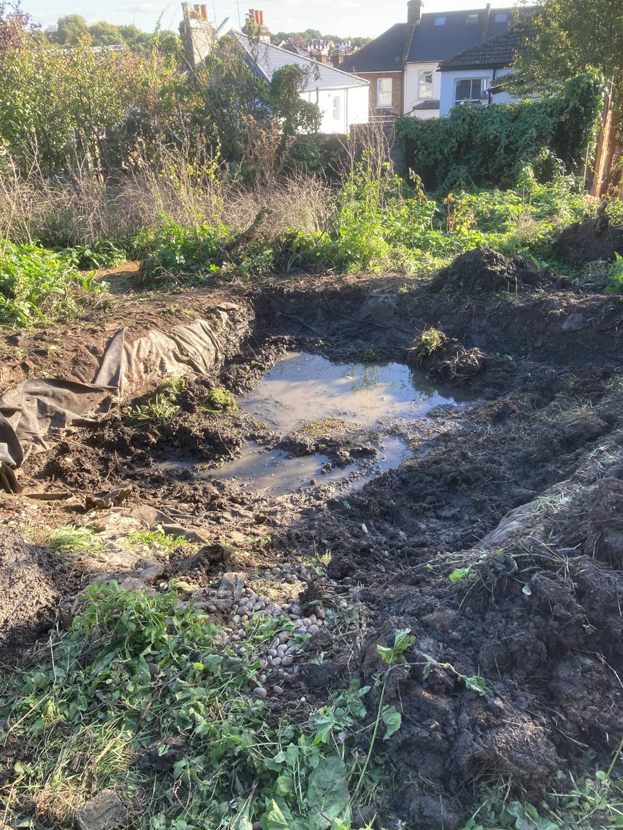 Lambeth TCV tweet media