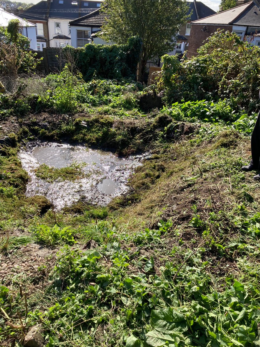 Lambeth TCV tweet media