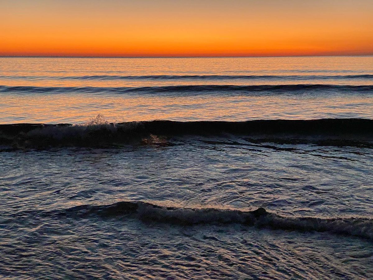 JoseLSaezPastor's tweet photo. Buenos días y feliz fin de semana desde las playas naturales de #Guardamar Seguimos disfrutando de temperaturas y ambientes muy agradables #Deporte #MedioAmbiente #Naturaleza #Playas #Gastronomía #Cultura #Patrimonio #Comercio #Servicios #CalidadVida @GuardamarTurism https://t.co/VnLRHJdbcw