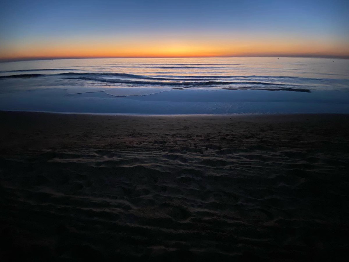 JoseLSaezPastor's tweet photo. Buenos días y feliz fin de semana desde las playas naturales de #Guardamar Seguimos disfrutando de temperaturas y ambientes muy agradables #Deporte #MedioAmbiente #Naturaleza #Playas #Gastronomía #Cultura #Patrimonio #Comercio #Servicios #CalidadVida @GuardamarTurism https://t.co/VnLRHJdbcw