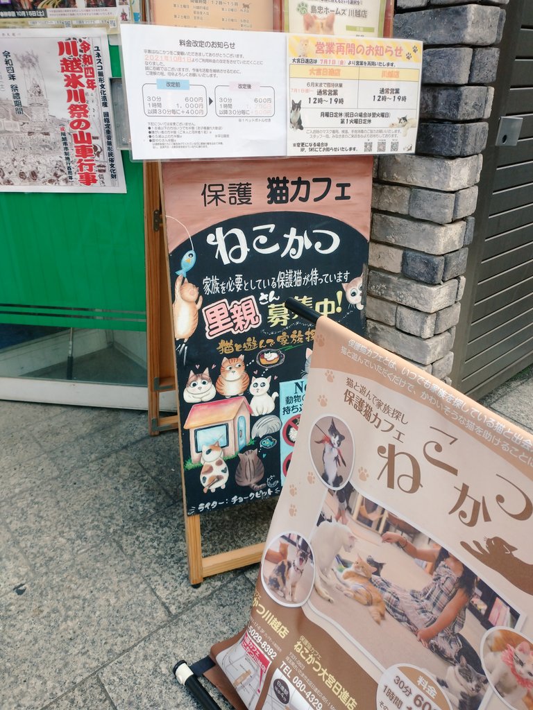 kaw_daru's tweet photo. ねこかつさま一階入り口にてやってます。
可愛いお客様が来ました🐰 https://t.co/GtlfVpdaOe