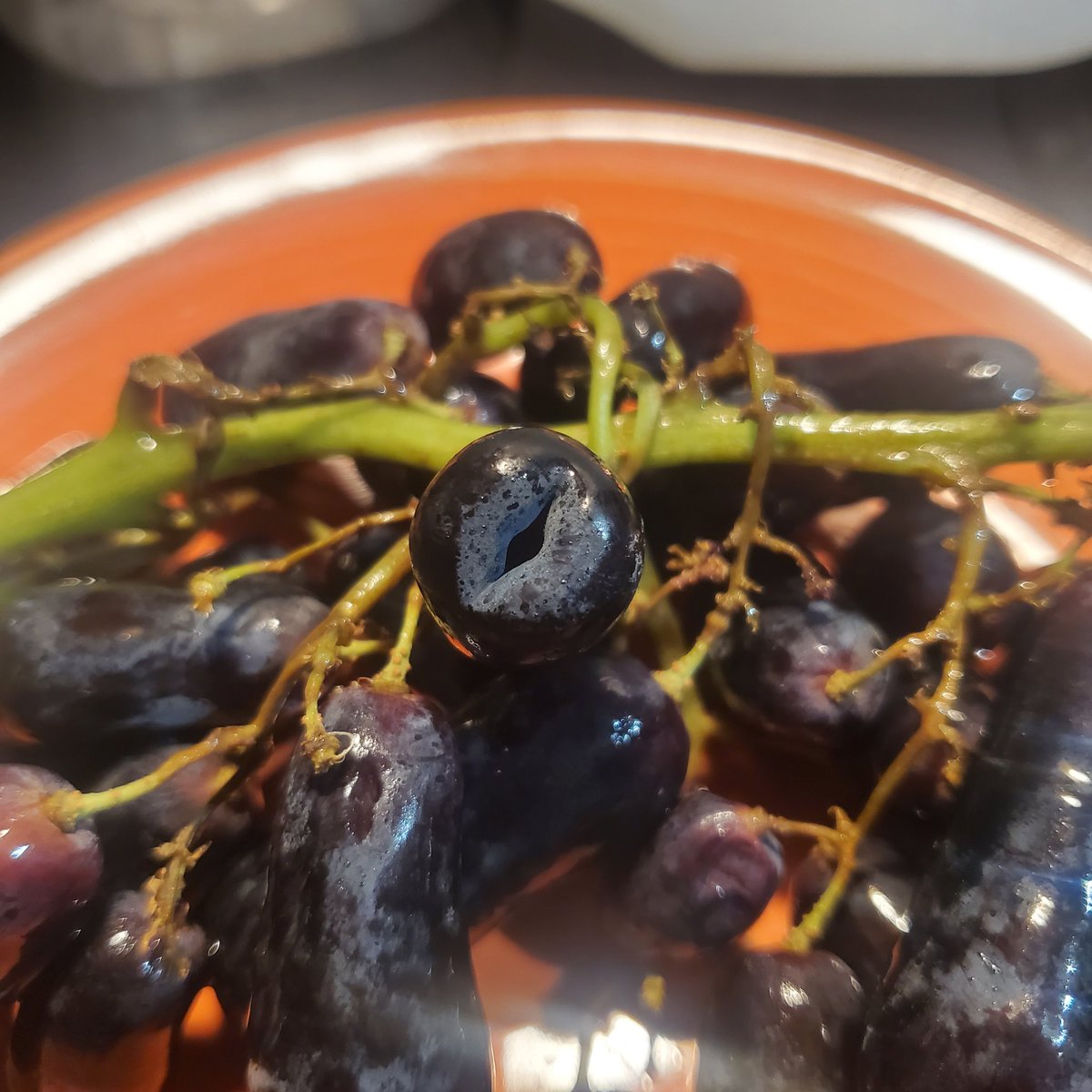 CupcakeyHall's tweet photo. The look on @z0mb1g33k face when he woke up and I had these grapes dangling in his face before his 1st coffee 😳😜
#grapes #notbeforecoffee #penisonavine https://t.co/hrFCUtSUZ0