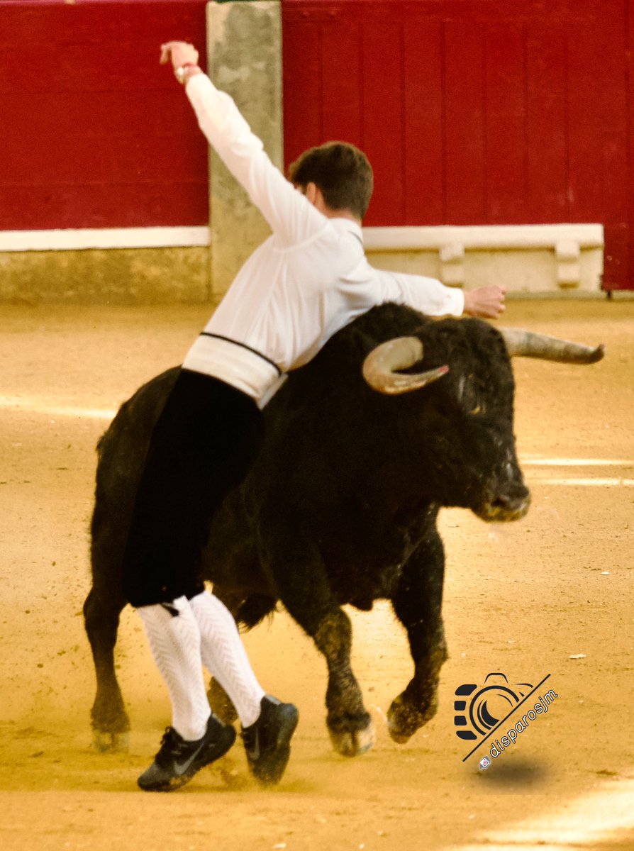 Impresionante quiebro de #ElPoca

#Recortadores #Toros #PlazaDeZaragoza #Zaragoza #PlazaDeLaMisericordia #VaquillasATV