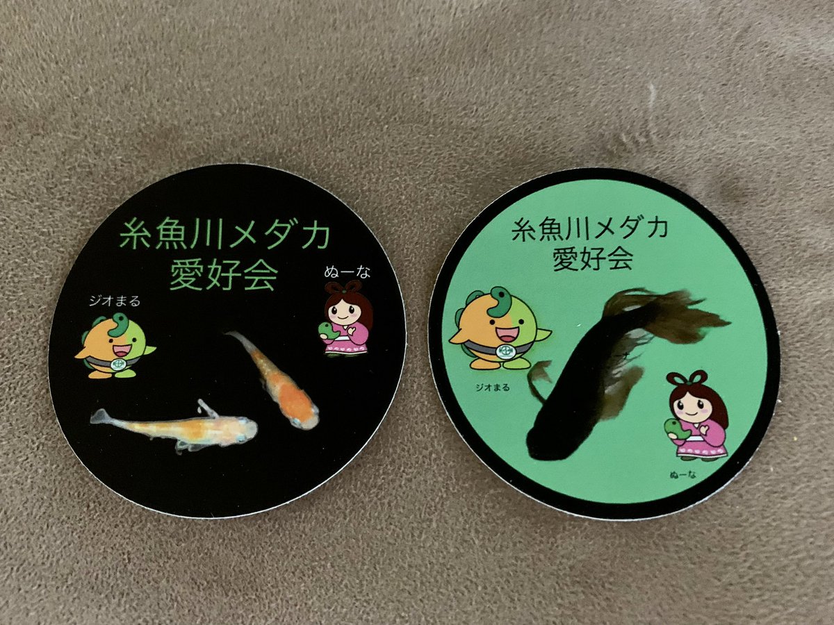carbons_tuber's tweet photo. 糸魚川メダカ愛好会のステッカー@stickerit5 で作成しました。

イベントなどで配布したい✨ https://t.co/0LZfdEn7L8