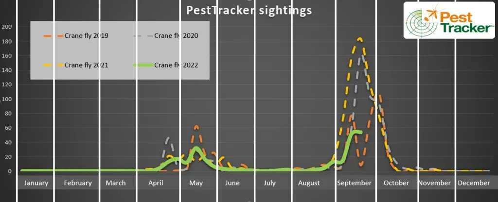 SyngentaTurfUK's tweet photo. Greenkeepers. We have a message from @GlennKirby 

Keep logging those sightings of #cranefly in #PestTracker or just pop the postcode in the comments below. 

This is when sightings start to slow but we know there are loads still about. 

More info here > https://t.co/zKqCLrt2Bo https://t.co/skVqJWi6gp