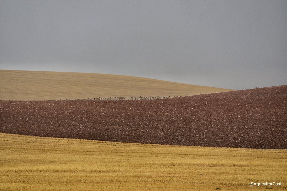 AgricultorCast's tweet photo. El otoño, buenos días. https://t.co/I0lGO5JUcS