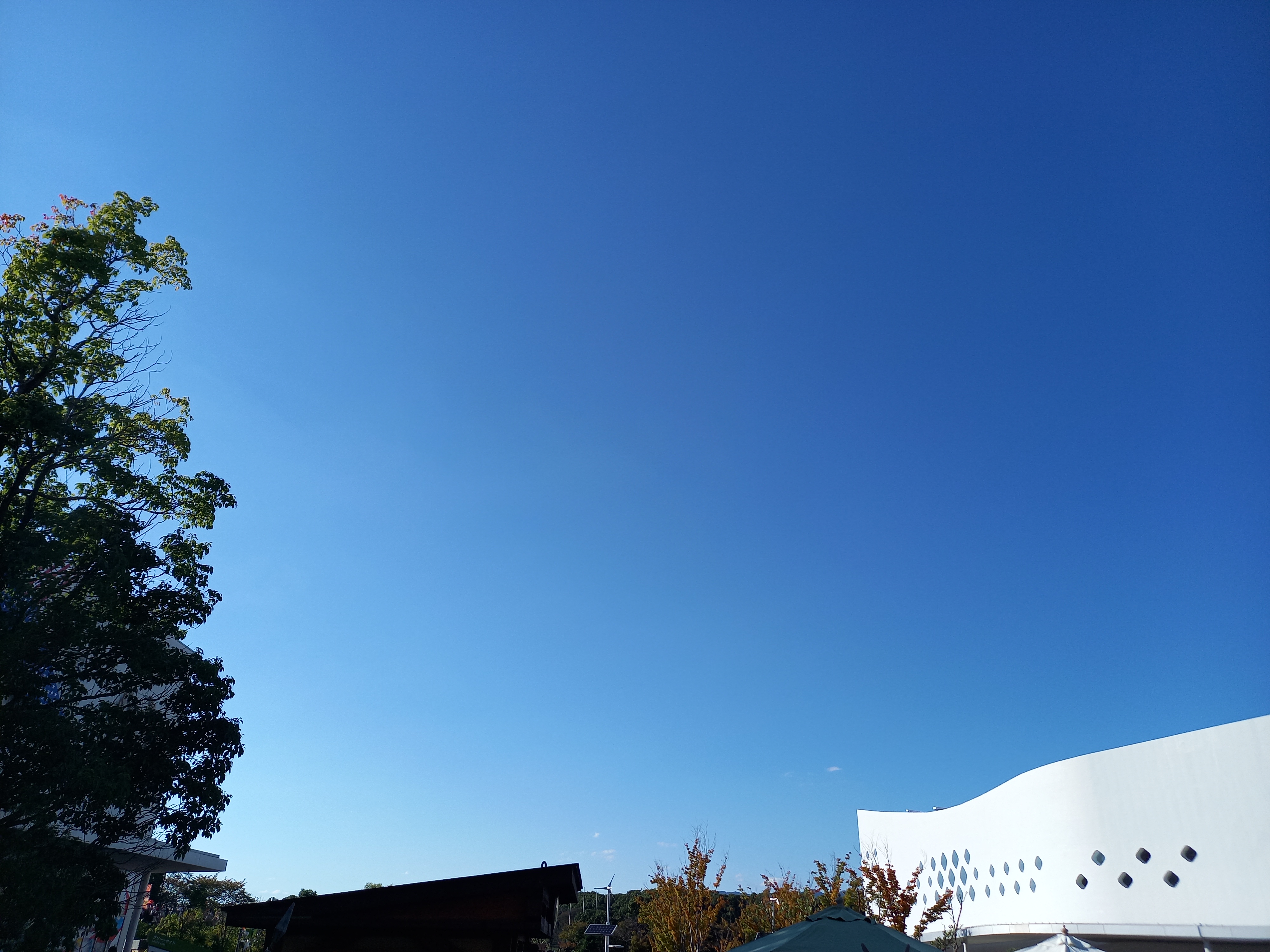 109シネマズ大阪エキスポシティ 109 Osakaec Twitter