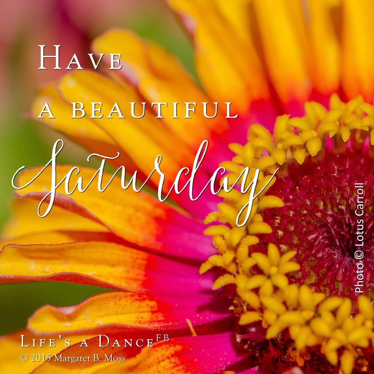 Al (@latif9al) on Twitter photo 