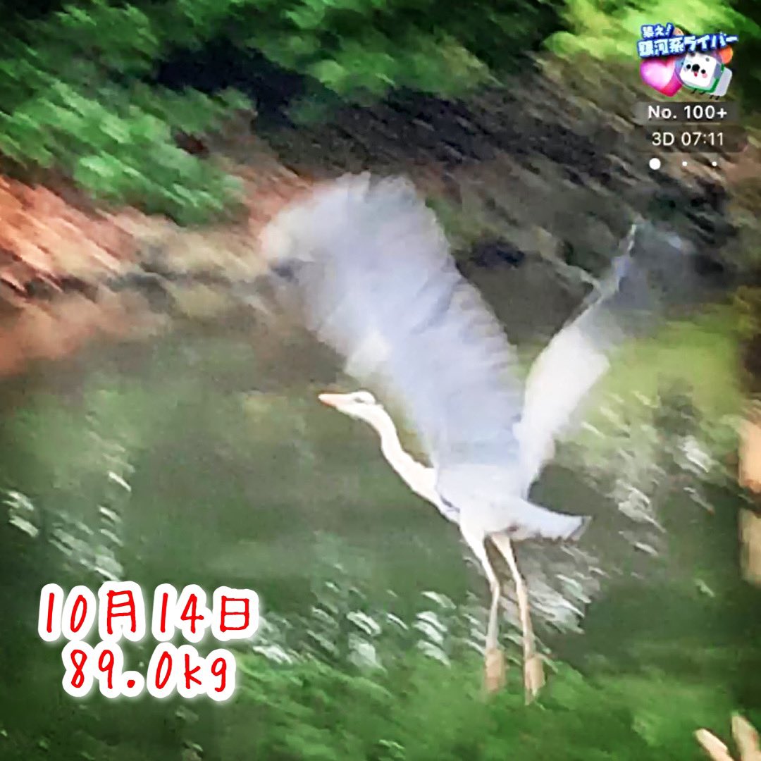 vovinamnohaha's tweet photo. サギ発見！
#17LIVE https://t.co/l1p5C1Rxox