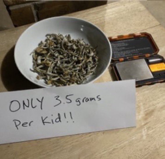 97Vercetti's tweet image. this Halloween shit so easy 🎃