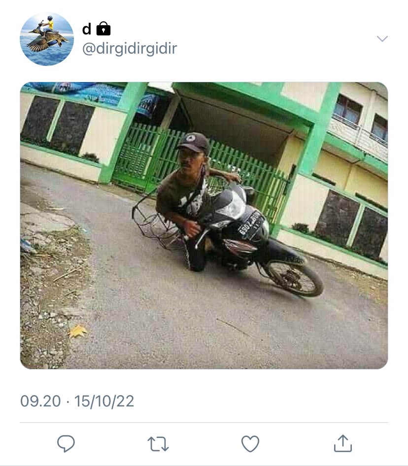 liuu :D tweet media