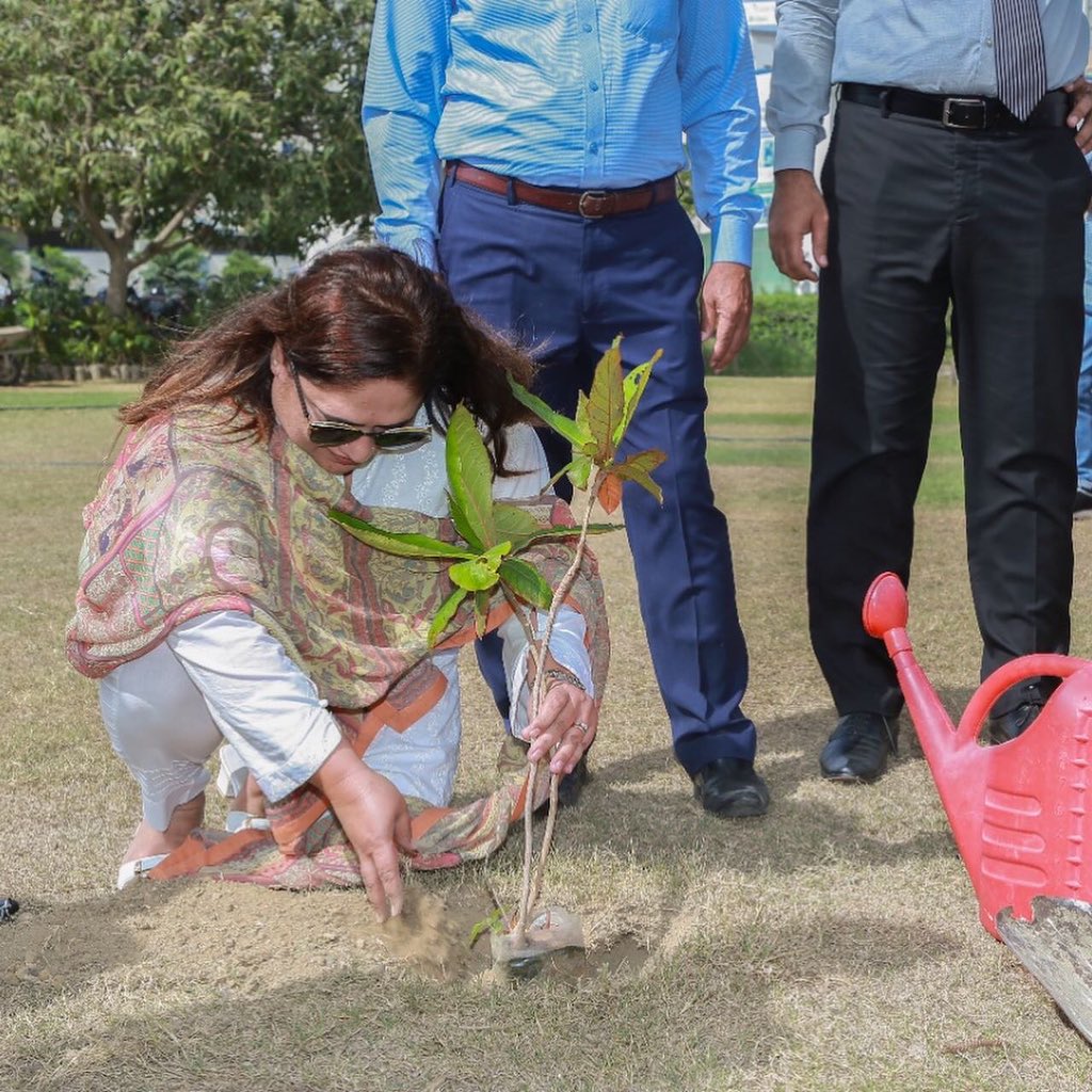 wmoworld's tweet photo. Memon Industrial & Technical Institute (MITI) a project of World Memon Organisation (WMO) has started Tree Plantation in connection with "Green Pakistan Campaign".
#DilSeMemon #WMO2 https://t.co/CZ3QMCTP2Z