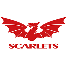 daimogssoapbox's tweet photo. Travelling from West Coast later to @official_parc appointed as #official #timekeeper by @WelshRugbyUnion for @URCOfficial match between @scarlets_rugby v @ZebreParma kick off 19.35 supporting @Springboks referee #morneferreira #RefsTeam #RespectRefs being part of this is awesome https://t.co/mDnVSp2Qyv