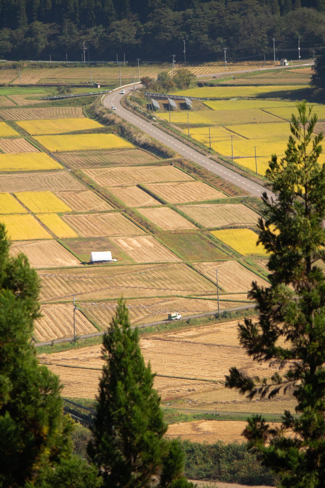 多田野村人(上小阿仁村の人) on Twitter 