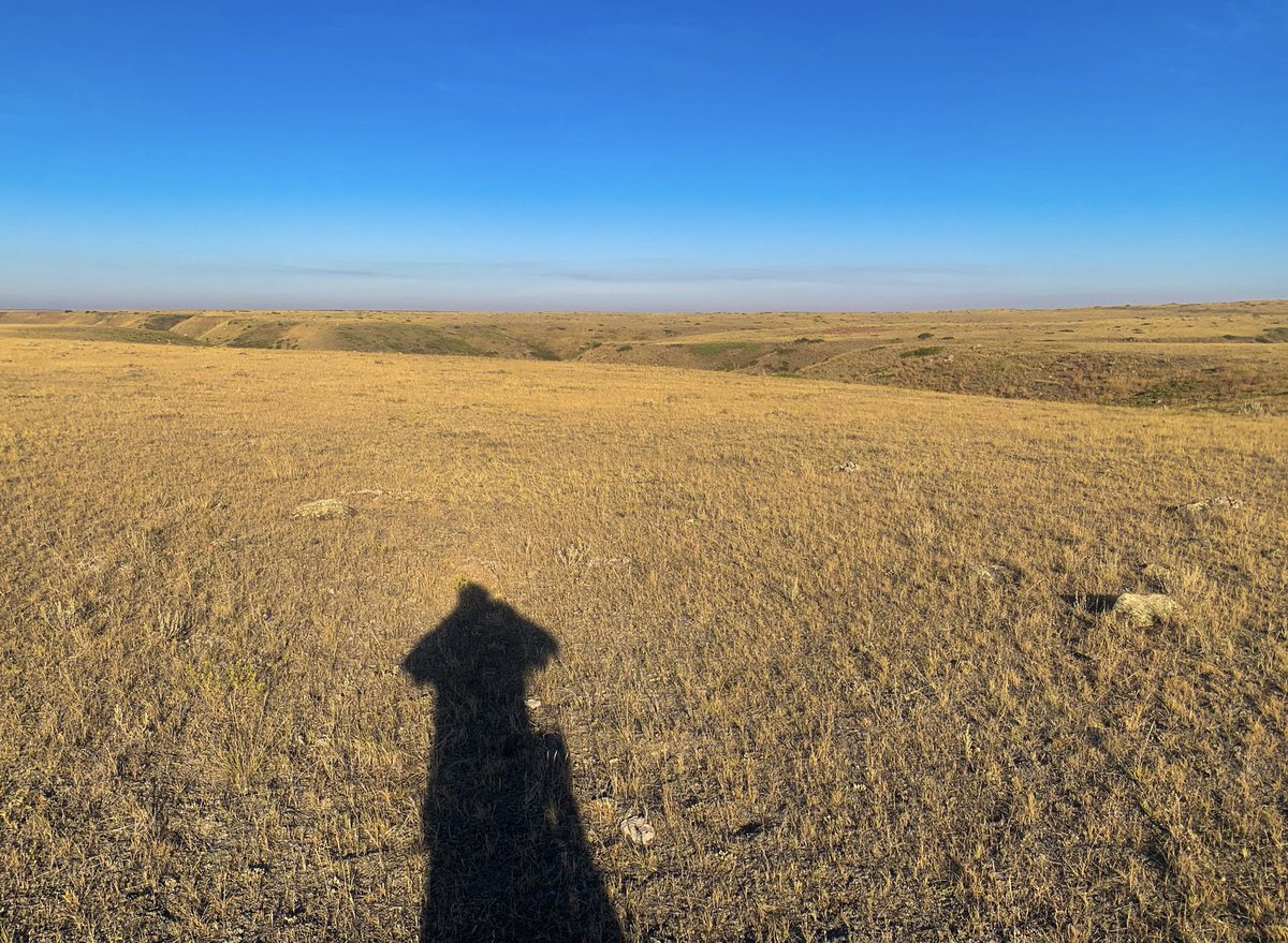 prairieguy2016's tweet photo. Saturday Selfie! A lone Tipi Ring & the vastness of the Montana prairie. I imagine why just 1 Tipi Ring? I wonder why here? I wander & wonder. #tipiring #history #culture #wonder #wander #montana #prairie https://t.co/8DkDQRB8Dp