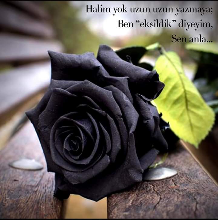 iso_caganiso's tweet photo. #Bartın🙏😔🖤🥀 https://t.co/f7oQUDxpbt