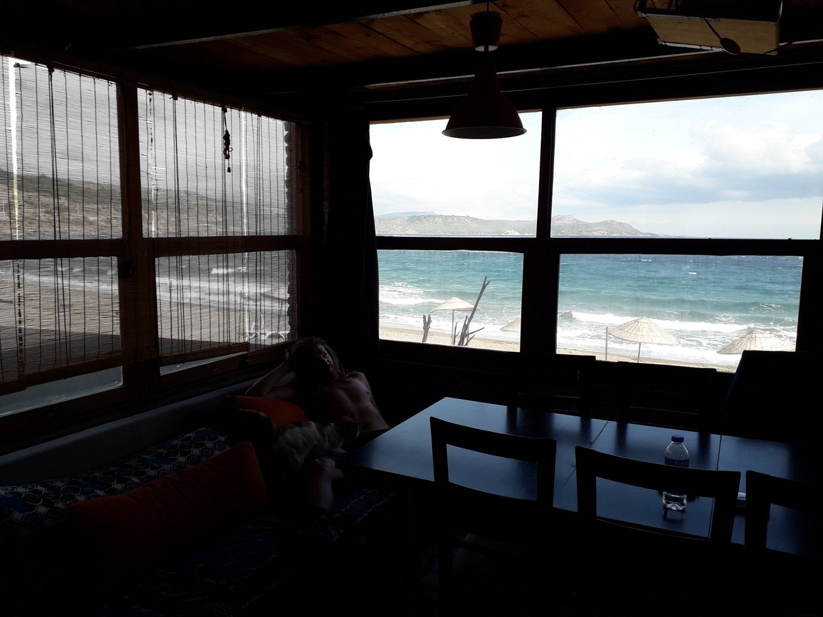 AtlantisliAdam's tweet image. Rustik, viking, pussycating.
🍃
#rustik #willage #wild #wildatheart #cats #love #freedom #atlantis