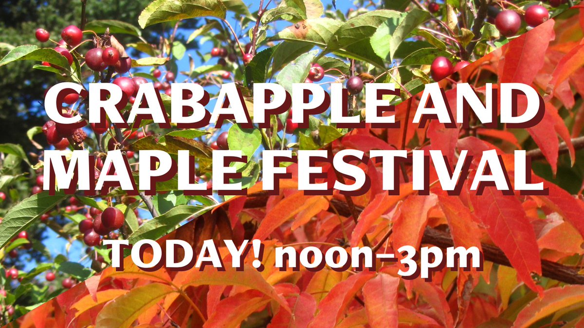 ArnoldArboretum's tweet photo. Today's the day! Join us for a celebration of fall color at the Arboretum from noon-3pm. We'll have children's activities, guided tours, and info tables set up in our Maple and Crabapple Collections, with a shuttle running between them. See you there! https://t.co/MlDjeGMvIO https://t.co/PsY8WtWoIs