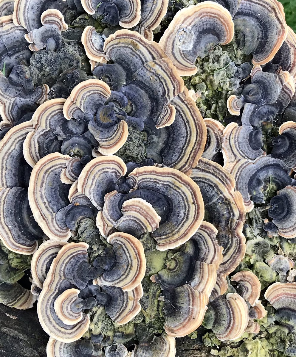 Andrew Watson tweet media