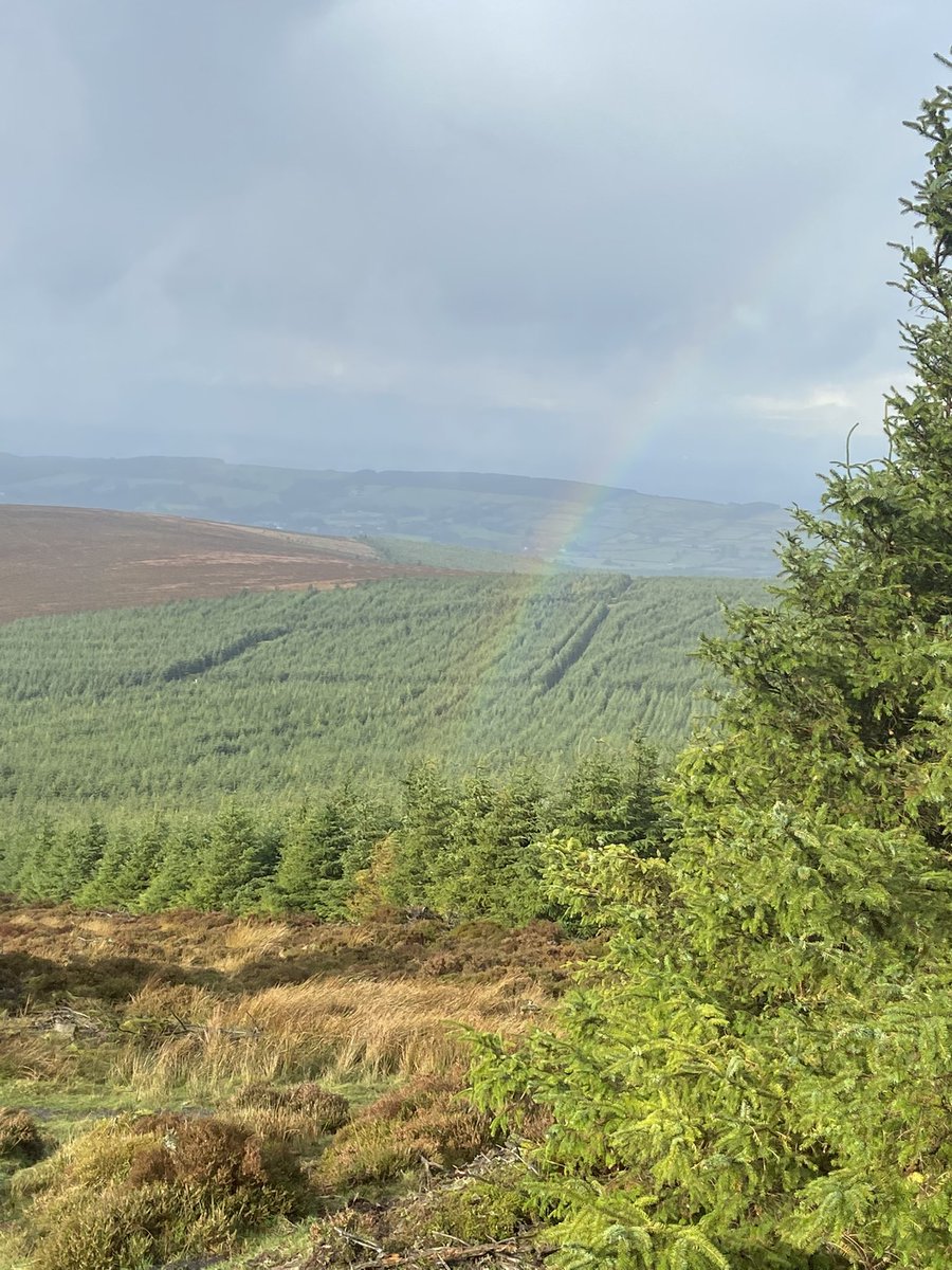 IrishRunningGir's tweet photo. Blustery mountain miles in many weathers.
🌞🥵🥶🌈🌧
#Trailrunning #Tallaght #Ballinascorney #seahan https://t.co/vmIJYwP2hX