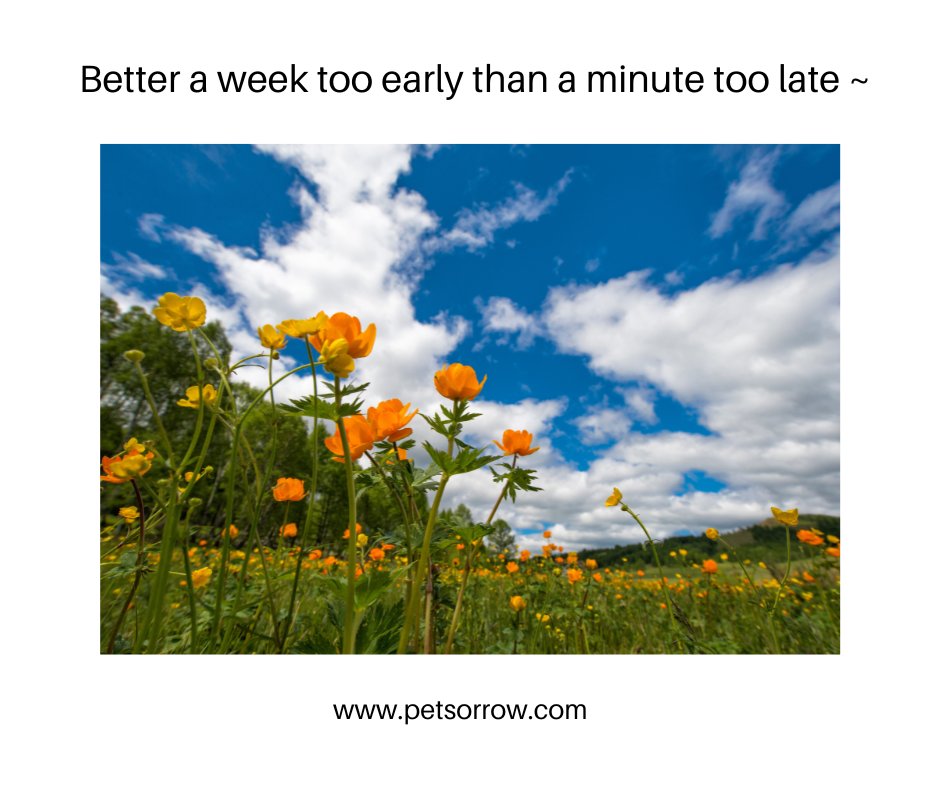I rarely have a pet tell me their human ended their life too soon. It's far more common to hear that their humans waited too long to help them leave their body ~ Karen A. Anderson 🦋

#petlossgrief #healingsolutionsforpetloss #griefandloss