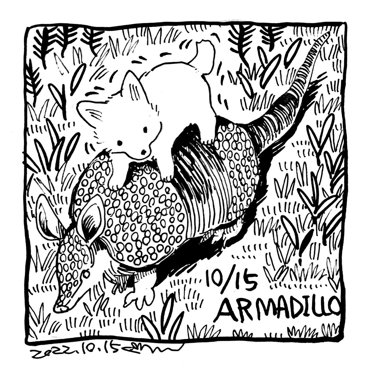 15日目 ARMADILLO
#Inktober2022 