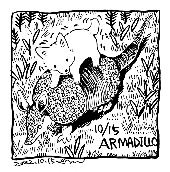15日目 ARMADILLO
#Inktober2022 