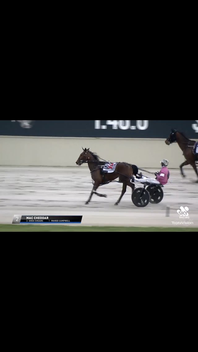 DoggzRogue's tweet photo. Huge Congrats to @vege07, Maree the team on getting our boy The Pocket rocket Mac Cheddar up for a win at Melton tonight. Also @kirstengraham91 for having the confidence in our boy always and to tip him! @Duano73 #roguedoggz https://t.co/JnTWbGdgnv