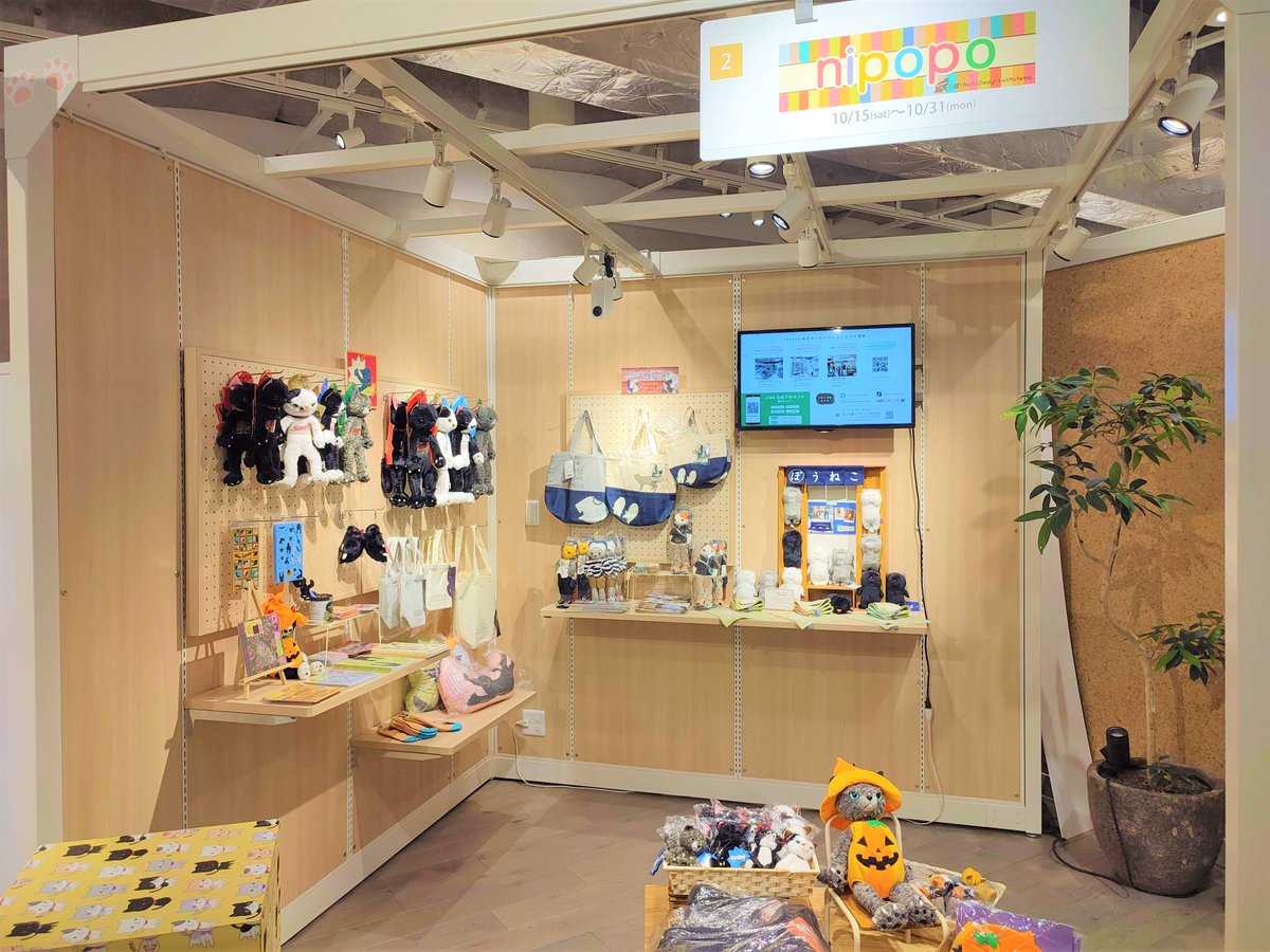 nipopoポップアップショップ情報（公式） (@nipopo_popup) / Posts / X