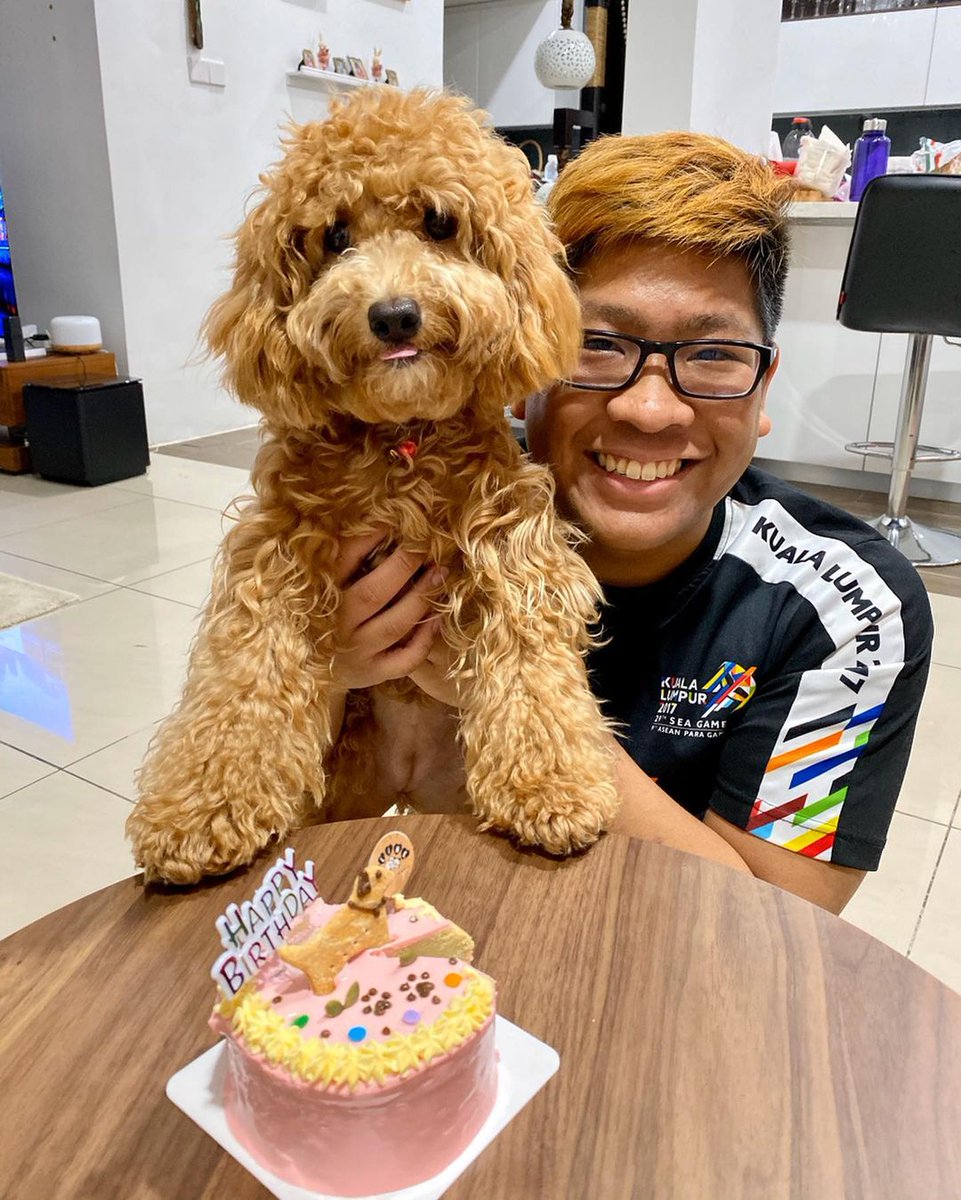 poodleIsLove's tweet photo. Birthday Special.
#Dog #doge #birthday #photo #love #animal #New #TrendingNow #cute https://t.co/JO2AIuFGiS