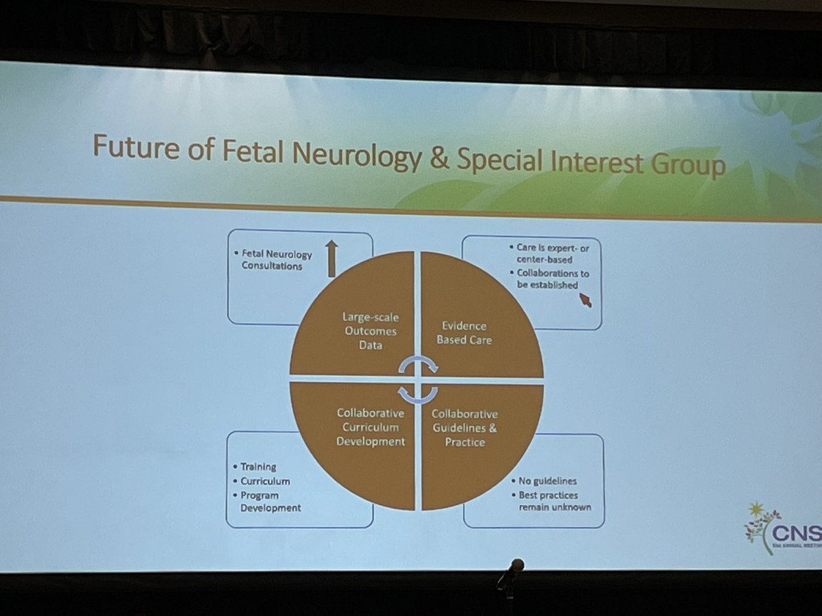 DrKSLewis's tweet photo. Early 7am seminar on #FetalNeurology on the last day of @ChildNeuroSoc #CNS2022 . @AgSonika , @lemrick444 , @Tomo_newengland , and Dr. David Franz presented advances in the field of fetal neurology including neuroimaging and Neurogenetics. Packed room! @PhxChildrens @barrowpch https://t.co/hw4iVIZ4uE