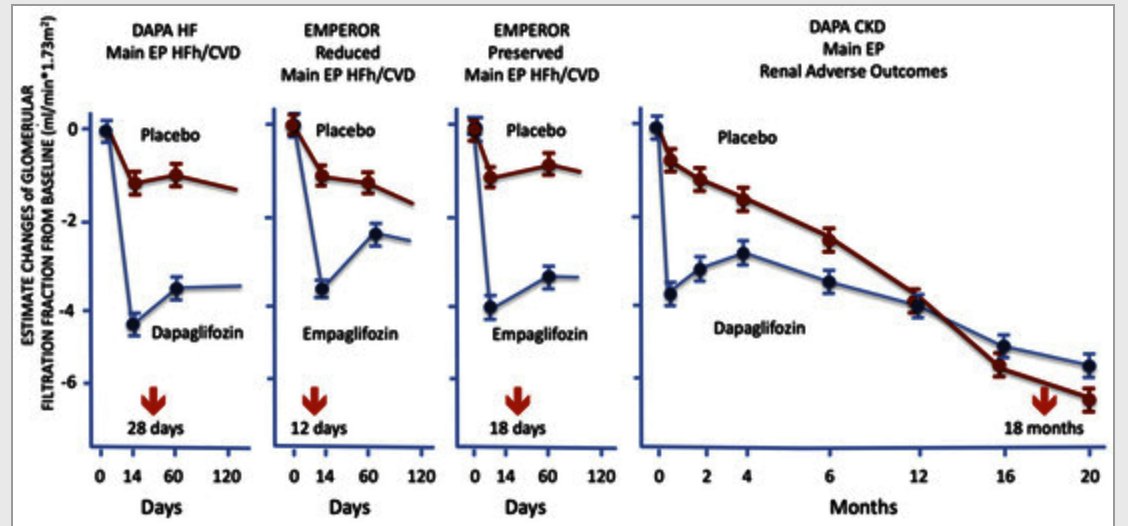 The Benefit of Sodium-Glucose Co-Transporter Inhibition in Heart Failure: The Role of the Kidney ⚠️iSGLT2 pueden reequilibrar la reabsorción de Na+ acoplado a glucosa y restaurar la demanda renal de O2,⤵️la activación neuroendocrina. 🔗mdpi.com/1422-0067/23/1… @gt_hta @SEMERGENap