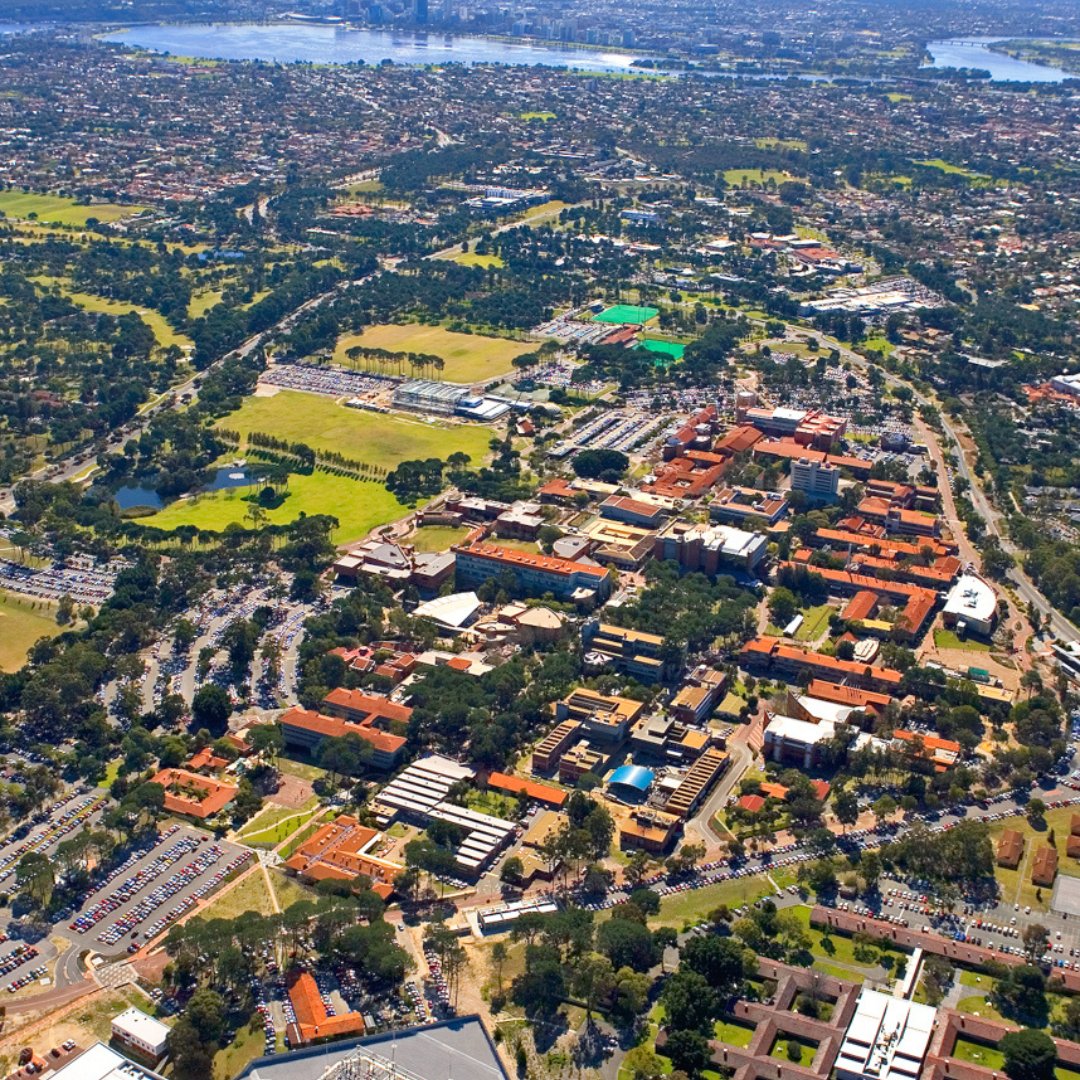 CurtinUni's tweet image. Wow, what a difference!

Check out how much Curtin has grown from the 1960s! We wonder what it will look like 70 years from now? 🤔

From L-R: [1960s, 1986, 2008, 2017]

📷 Curtin University Archives

#CurtinUniversity #CurtinThrowback #CurtinLife