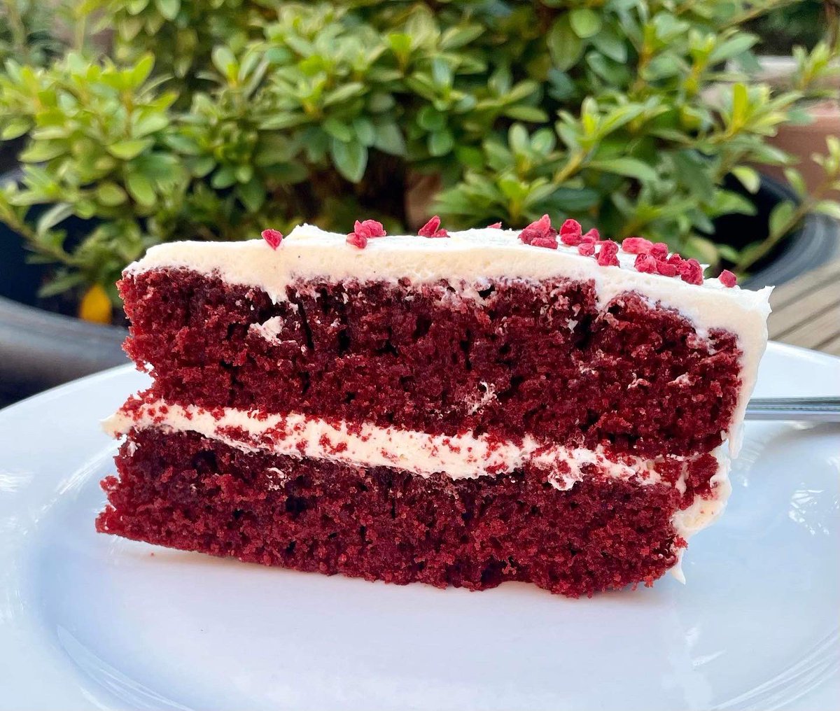 BridgesCamb's tweet photo. Red velvet chocolate cake back on counter. It’s creamy, silky, lustrous, smooth, soft ….Yet not too sweet.  How is it possible? 🤷‍♀️ 

#redvelvetcake #redvelvetchocolatecake #chocolatecake #sweettreat #nottoosweet #cambridgecafe #indiecambridge #universityofcambridge #cakeoftheday https://t.co/3F0uSmRa6C