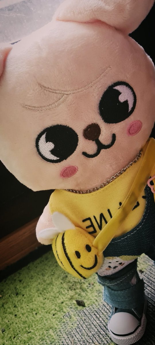 Sehyoons_Cat's tweet photo. #POOTD = PuppyM Outfit of the Day https://t.co/uyBWGU0xKV