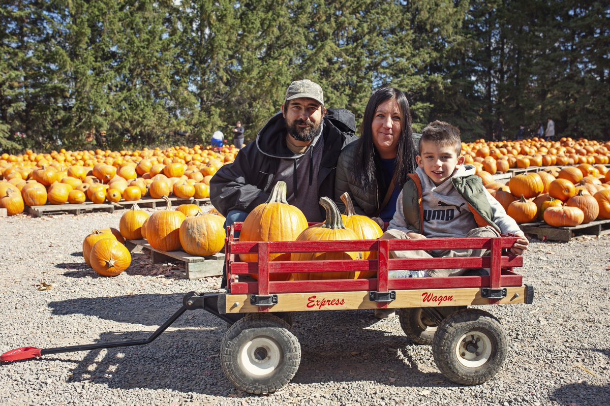 Strom's Farm &Bakery tweet media